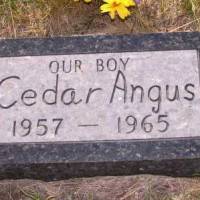 Cedar Angus FUCHS