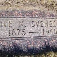 Ole N. SVENEDBY