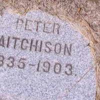 Peter AITCHISON