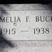 Amelia F. BUCK